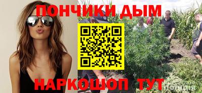 спиды Можга
